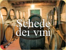 Schede Vini